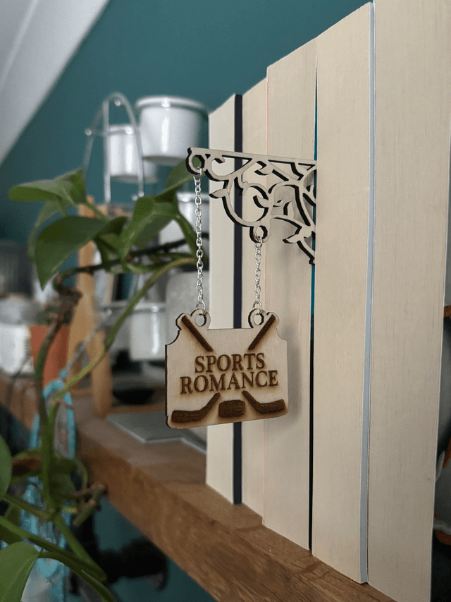 Sports Romance Book Divider Tavern Signs, Personalised Book Genre Shelf Dividers, Rustic Library Organisers, BookTok Aesthetic Gift for Readers