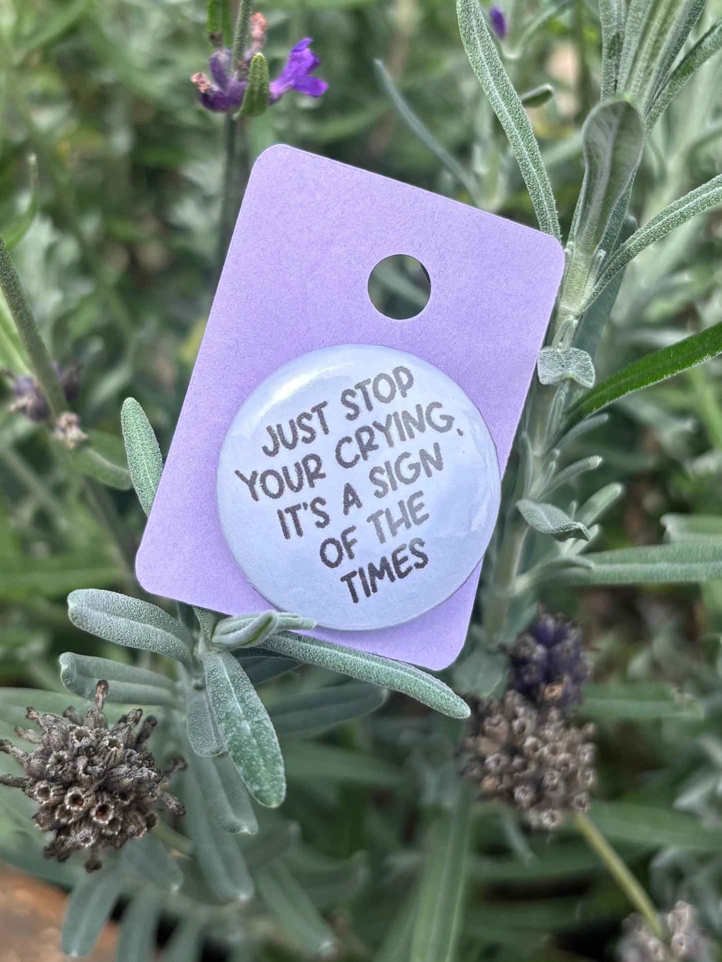 "Just Stop Your Crying, It's A Sign Of The Times" 25mm Badge