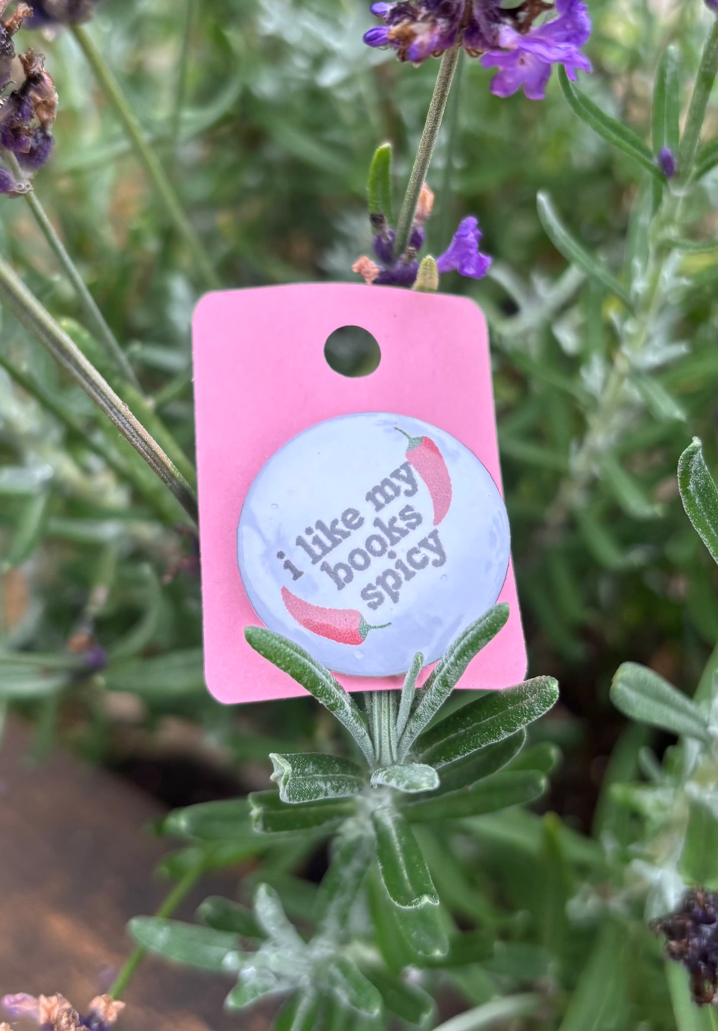 "I Like My Books Spicy" 25mm Badge