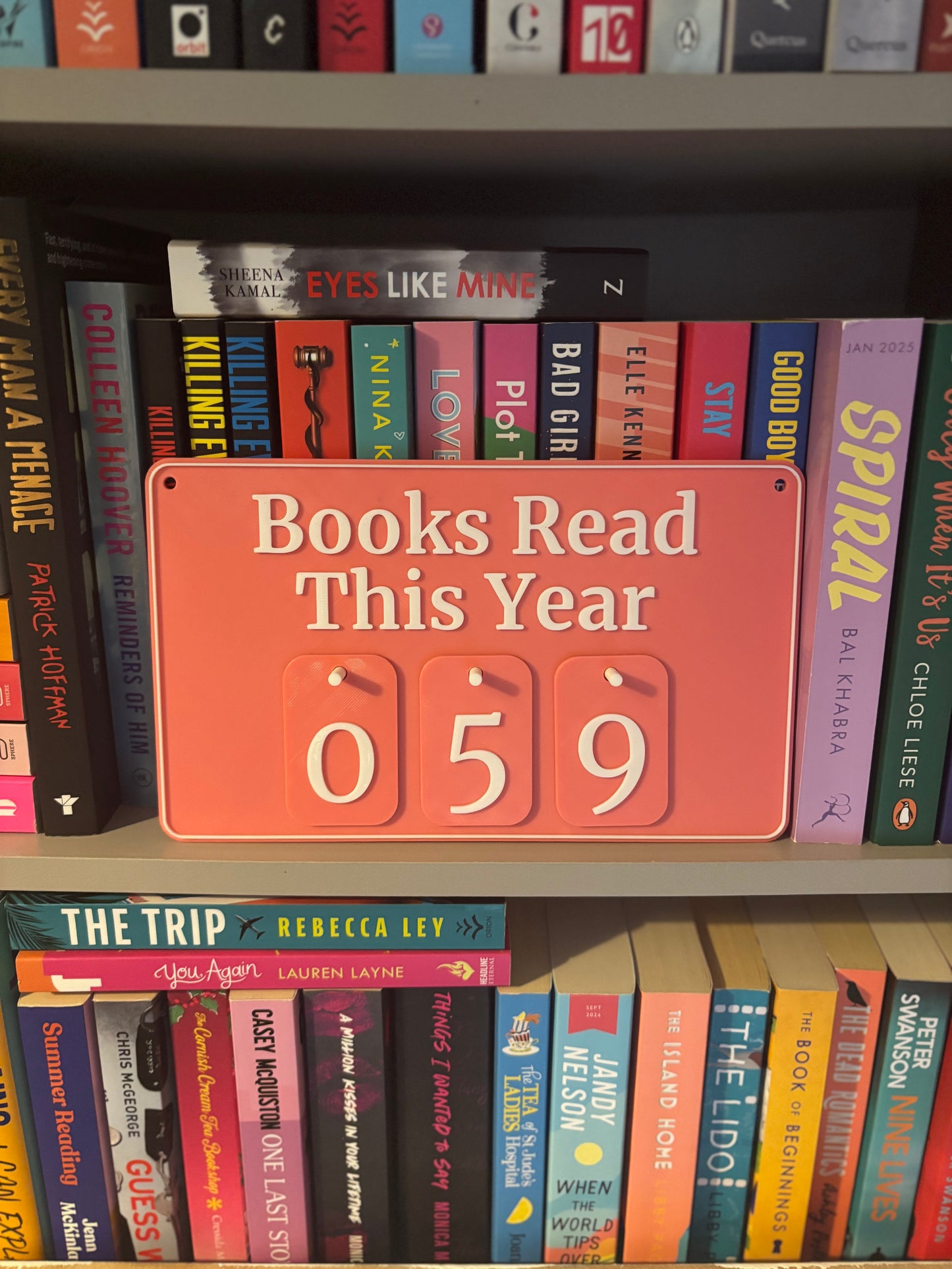Books Read This Year Counter | 3 Digits | Choose your colour combo!